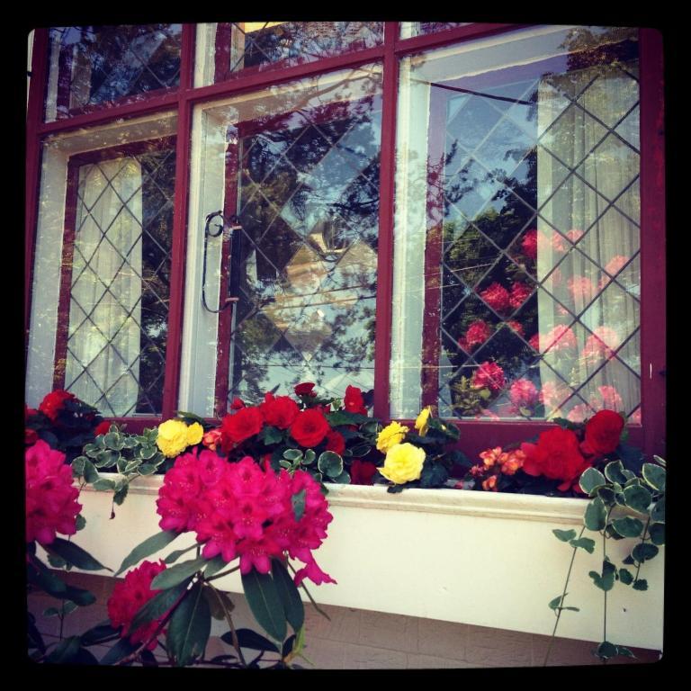 טרורו Belgravia B&B מראה חיצוני תמונה